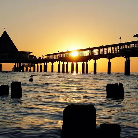 Haus Nemo - 8 公寓 *