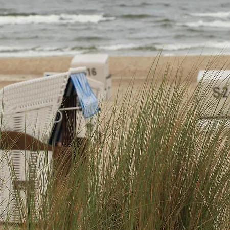 Haus Nemo - 8 아파트 *